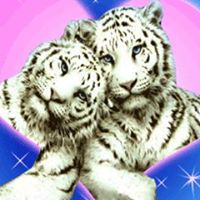 Ruth Beard Photo 20 Ruth Beard Photo 20