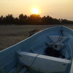 Robert Carmona Photo 30