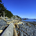 Judy Holland Photo 9