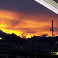 Richard Freeman Photo 54 Richard Freeman Photo 54