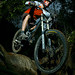 Matthew Fraser Photo 17