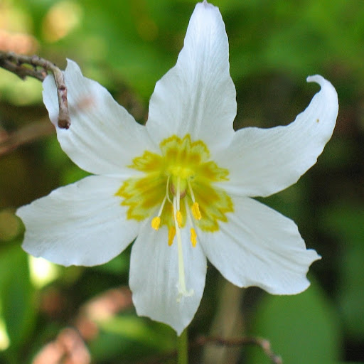 Michelle Wyatt Photo 20