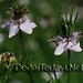 Walter Ebe Photo 5