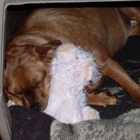 Carey Mccarthy Photo 2