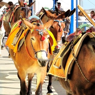 Jane Mcdonald Photo 27