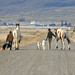 Dennis Wages Photo 12