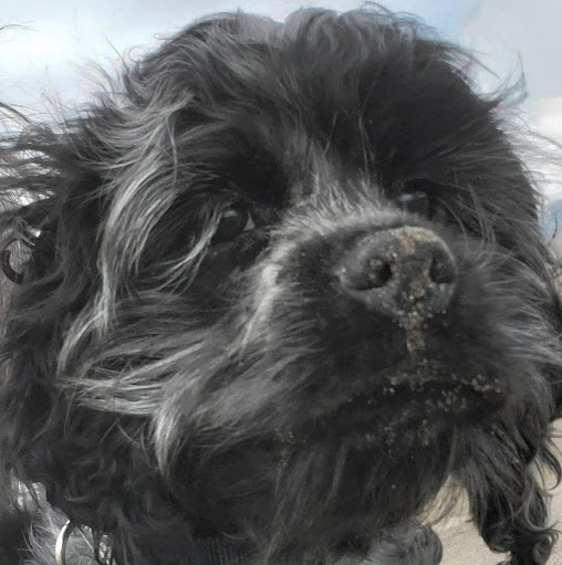 Ruth Henley Photo 22