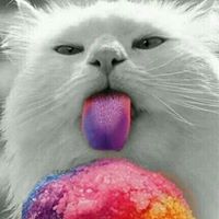 Elizabeth Grimes Photo 16