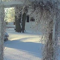 Pam Yates Photo 18