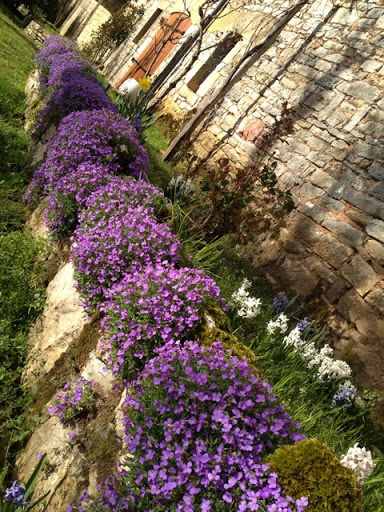 Julia Fernandez Photo 20