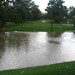 Debra Patterson Photo 20
