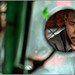 Don Driver Photo 27