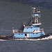 Paul Andrews Photo 26