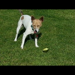 Gail Merritt Photo 18