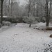 Bill Snow Photo 13