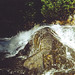 Shirley East Photo 15