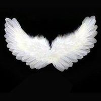 Robin Paige Photo 22