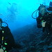 Rodney Michael Photo 41