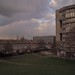 Peter Robins Photo 29
