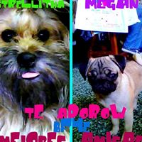 Megan Richter Photo 30