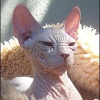 Michael Schuler Photo 20 Michael Schuler Photo 20