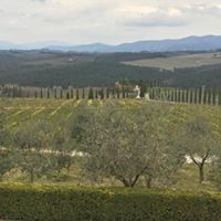 Shelly Todd Photo 19