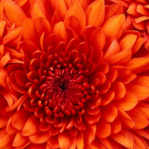 Victoria Hubbard Photo 34