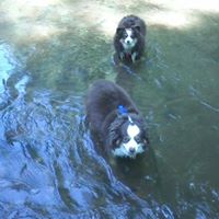 Gail Kraemer Photo 3