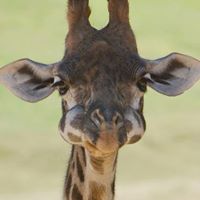 Eric Radford Photo 22