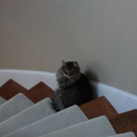 Christine Gauthier Photo 21