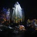 Sue Fry Photo 13