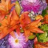 Ann Cooper Photo 14