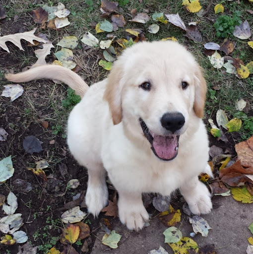 Kenneth Mclean Photo 9