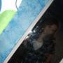 Heather Garris Photo 18