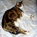 Debbie Dear Photo 18