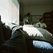 Margaret Stevens Photo 24