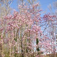 Sandra Mask Photo 16