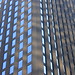 Ada Roche Photo 11