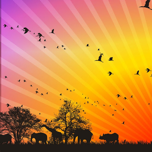 Diane Wallace Photo 7