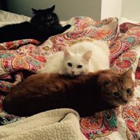 Jackie Pratt Photo 35