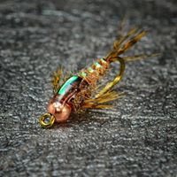 Matt Reiter Photo 15