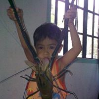 Jan Sherman Photo 11