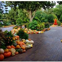 Michele Mcconnell Photo 16