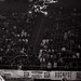 William Denning Photo 22