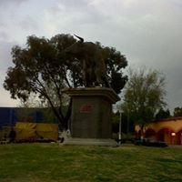 Guadalupe Palafox Photo 9