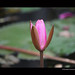 Anna Park Photo 33