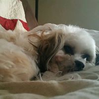 Angela Autry Photo 12