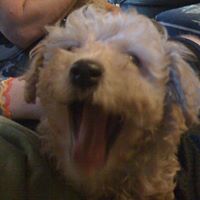 Sandy Gilliam Photo 16