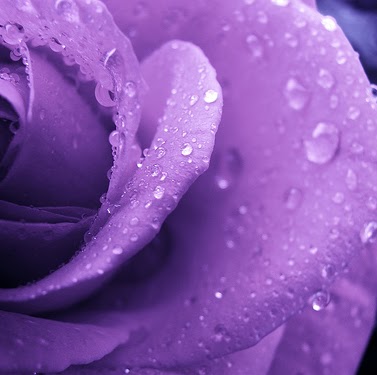 Megan Mccarthy Photo 50