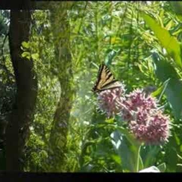 Susan Moyer Photo 23